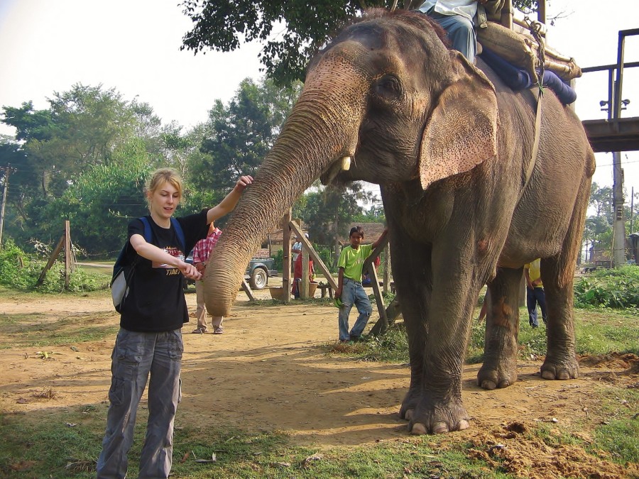 A traveler from Poland with an elephant. Chitwan National Park. Nepal.