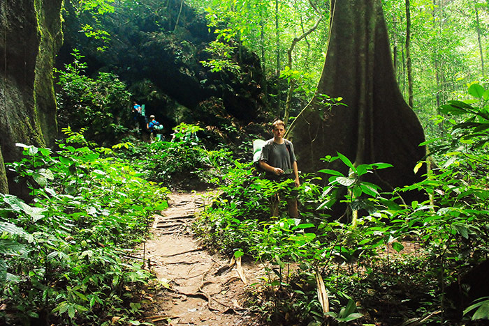 Jungle expedition in Mulu National Park.