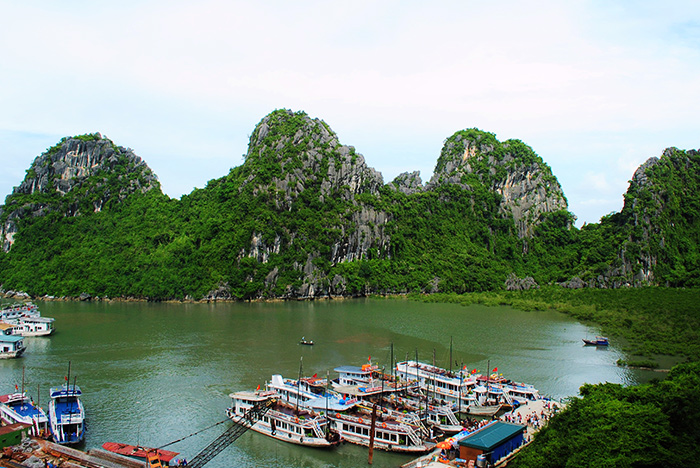 Halong Bay. North Vietnam.