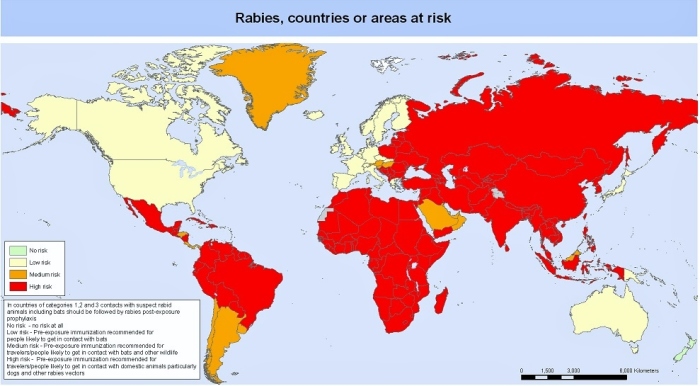 Distribution of rabies around the world (WHO map).