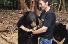 Laos - karmię czarne niedźwiedzie azjatyckie.