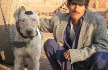 Pakistan - człowiek z psem.