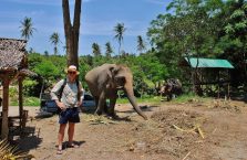 Tajlandia - słoń na Koh Samui.