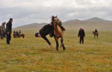 Kirgistan - festiwal z udziałem koni.