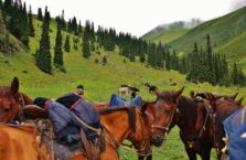 Kirgistan - konie.
