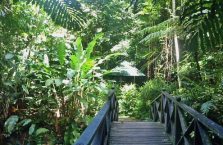 Lok Kawi Wildlife Park Borneo (25)