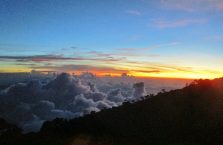 Mount Kinabalu Borneo (15)
