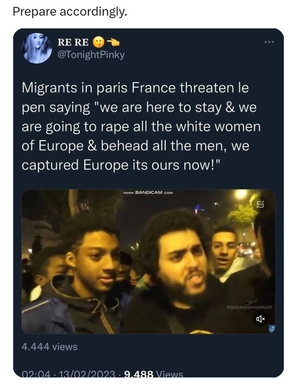 Arabs in France