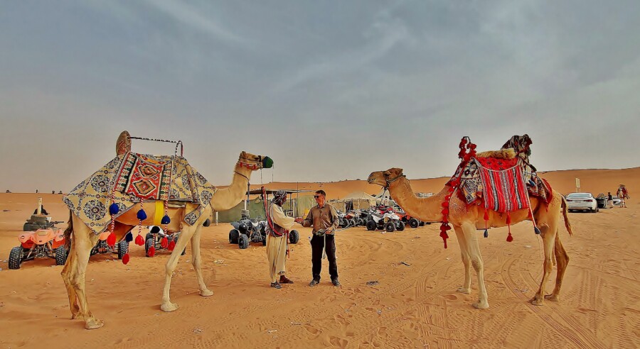 Saudi Arabia red sand dunes camels.