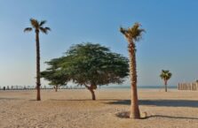 Bahrain beaches (16)