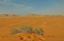 Red sand dunes Saudi Arabia (13)