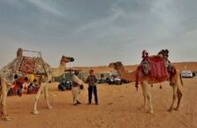 Red sand dunes Saudi Arabia (17)