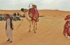Red sand dunes Saudi Arabia (2)